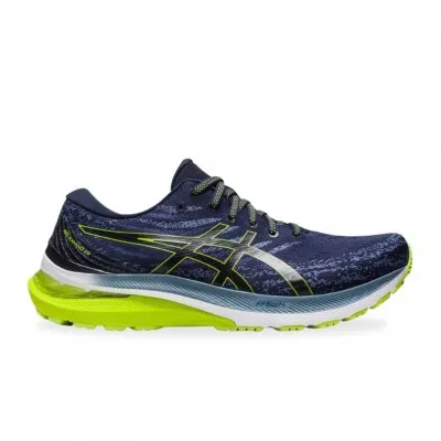 ASICS Kayano 29 running shoes