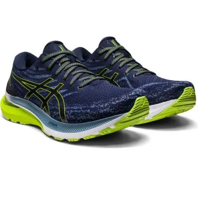 ASICS Kayano 29 running shoes