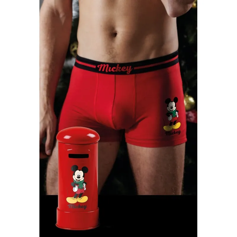 Christmas Edition Disney Mickey Mouse Boxer Mailbox.