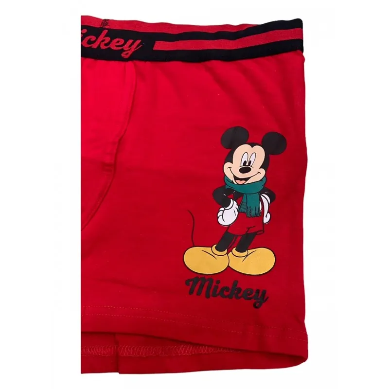 Christmas Edition Disney Mickey Mouse Boxer Mailbox.