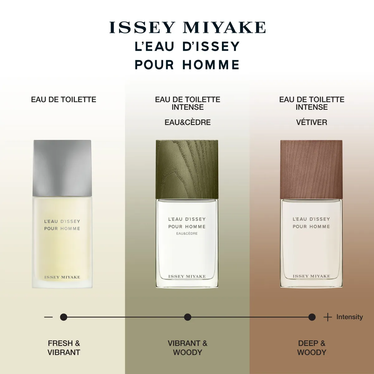 Issey Miyake L'Eau d'Issey Pour Homme Eau De Toilette Spray