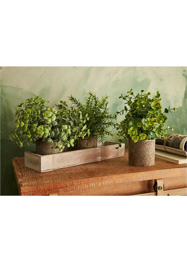 Green artificial plant on tray