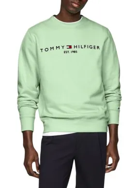 Tommy Hilfiger Men's Mint Green Logo Hoodie