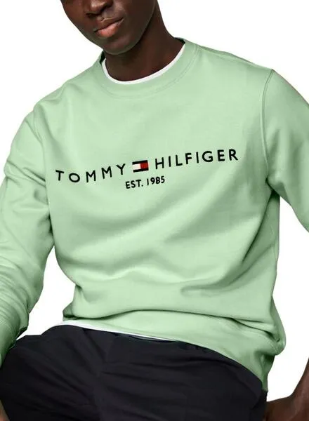 Tommy Hilfiger Men's Mint Green Logo Hoodie