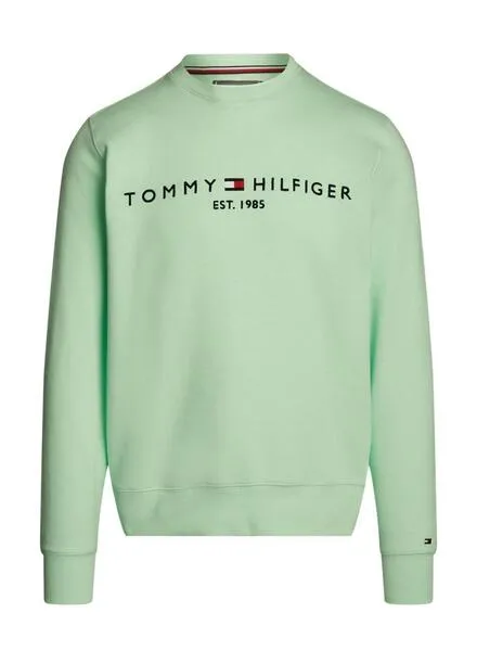 Tommy Hilfiger Men's Mint Green Logo Hoodie